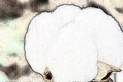 梦见棉花是什么意思