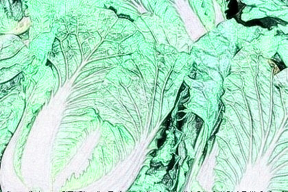 梦见白菜是什么意思