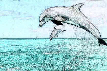 梦见海豚是什么意思