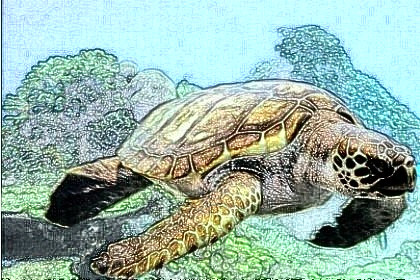 梦见海龟是什么意思