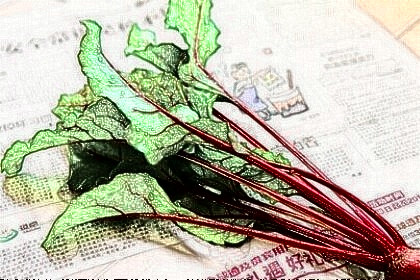 梦见甜菜是什么意思