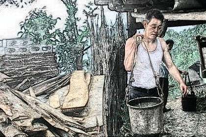 梦见挑大粪是什么意思