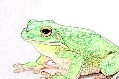 梦见青蛙是什么意思